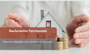 declaracion patrimonial SRI